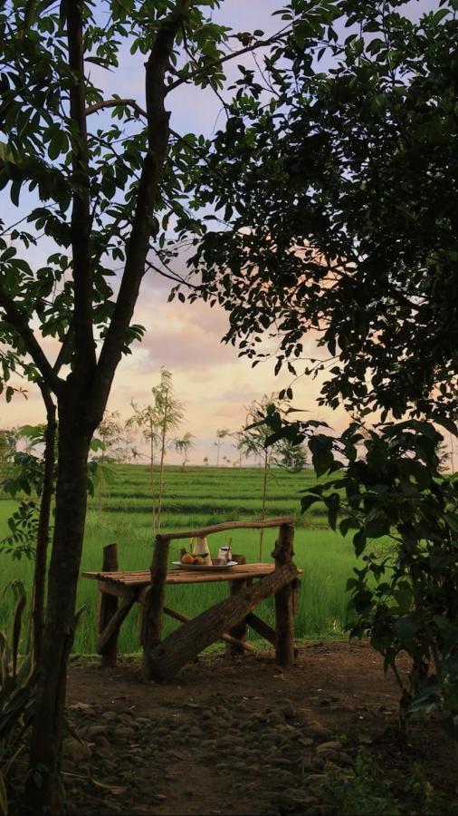 Tiara Homestay Plambi Exteriér fotografie