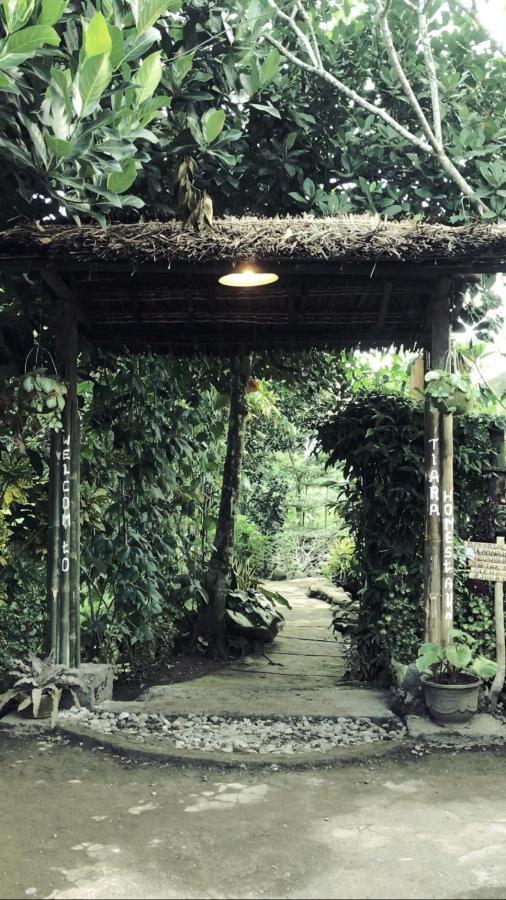 Tiara Homestay Plambi Exteriér fotografie